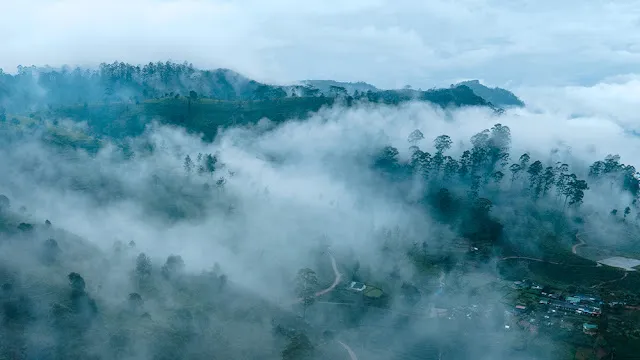 Cloud Forests