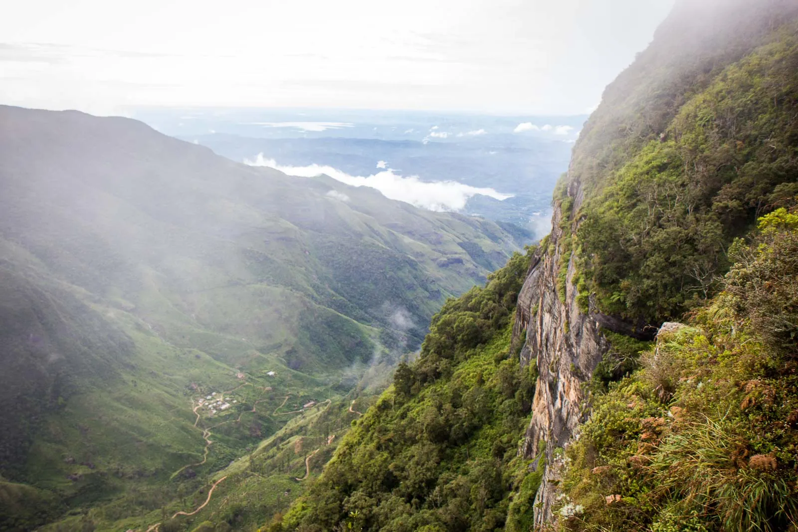 Cloud Forests