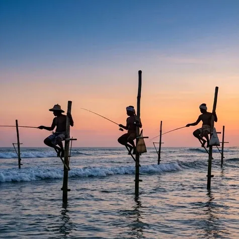 Stilt Fishermen